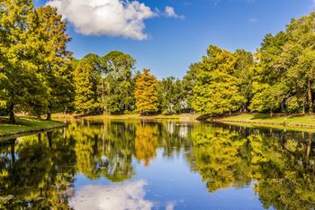 Lake side
